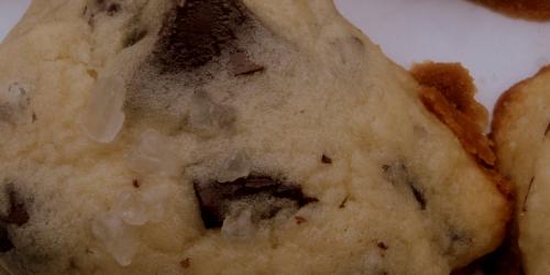 Salted Chocolate Chip Cookies - BrokeAss Gourmet